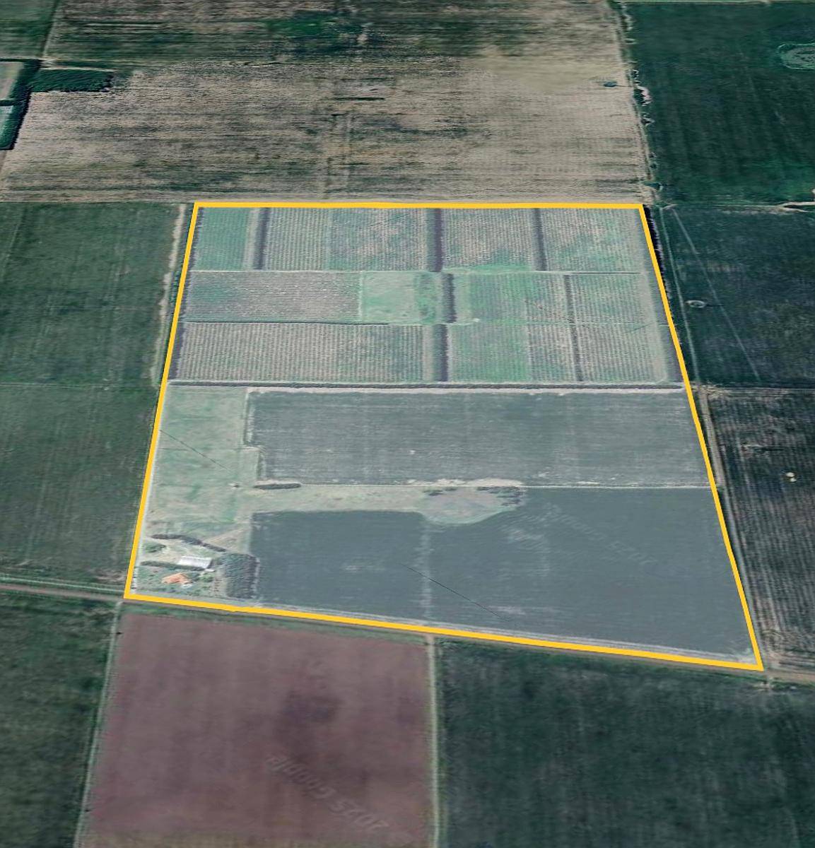 84 Hectáreas con Excelentes Mejoras