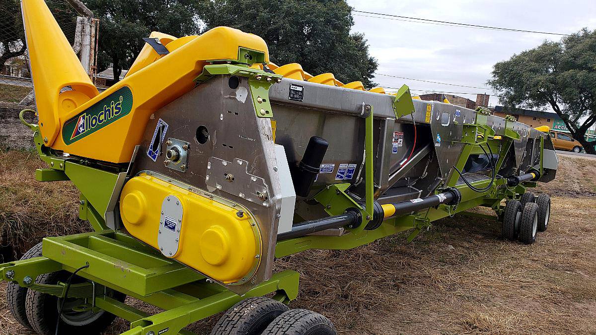 Maicero Allochis Híbrido - Disponible - Planes en Pesos