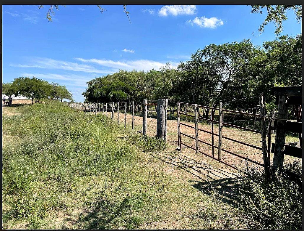 Isla en Diamante Entre Rios