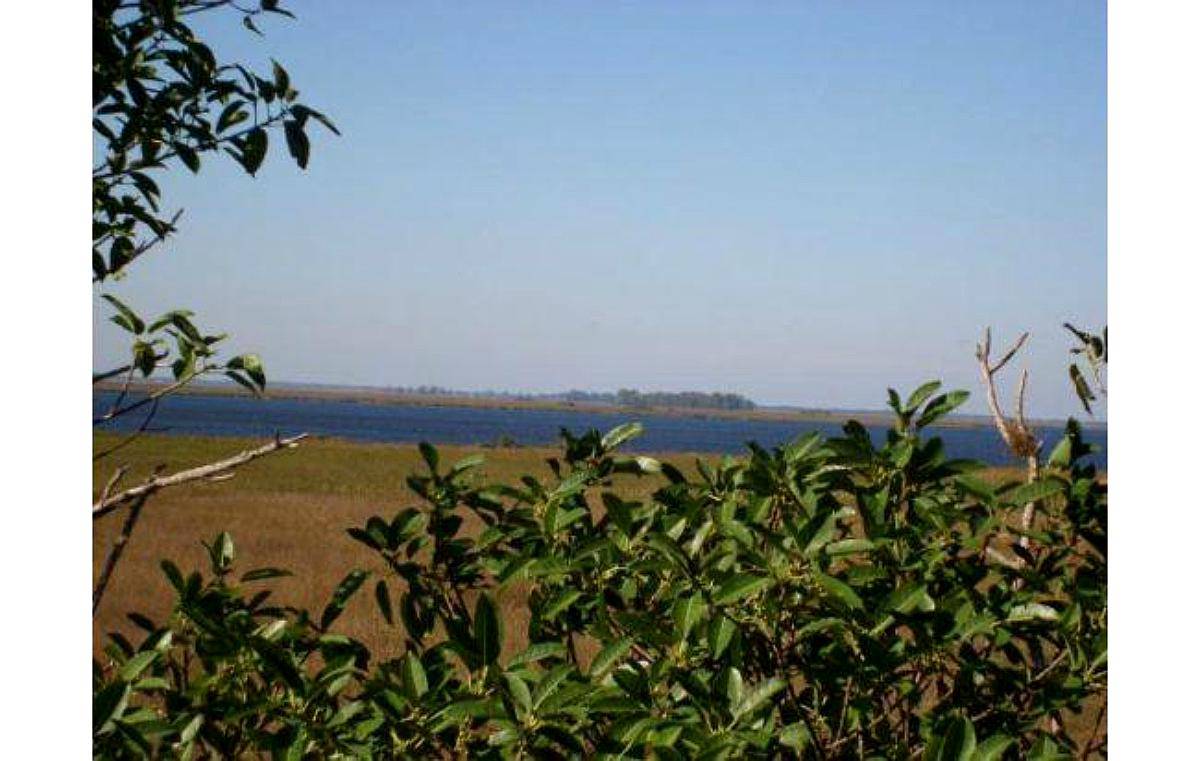 Palmar Grande, Corrientes - 1300ha