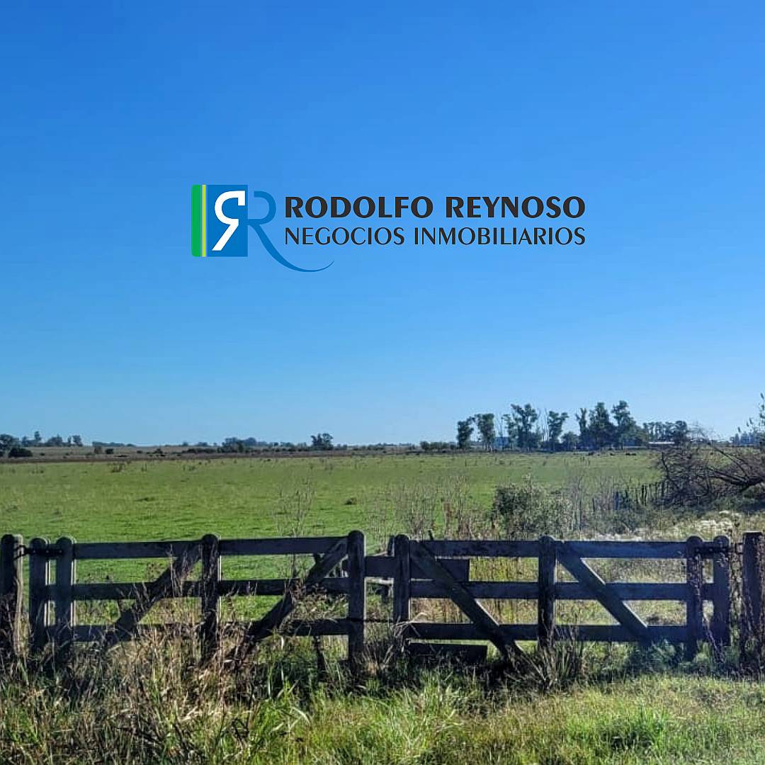 Campo en Villa Elisa - Entre Rios