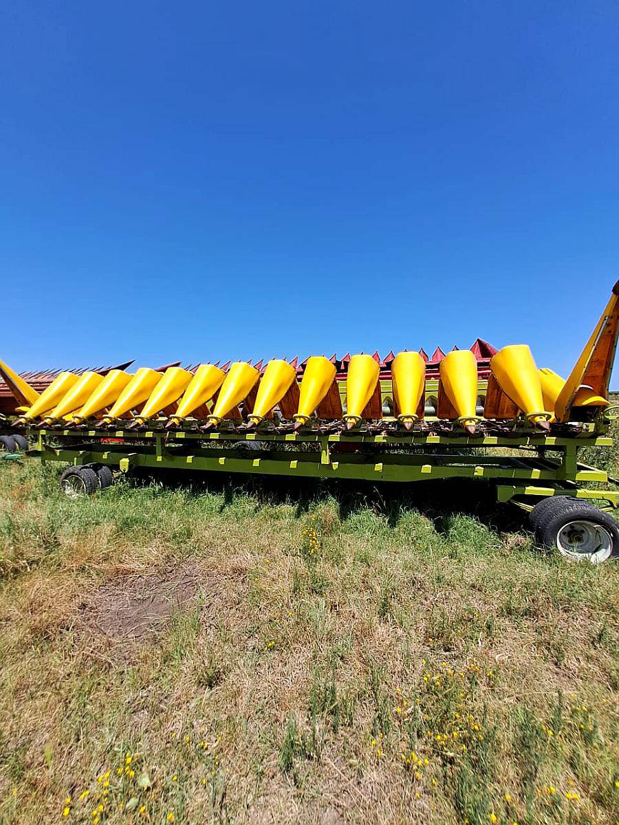 Allochis Trailer, de 14 a 52