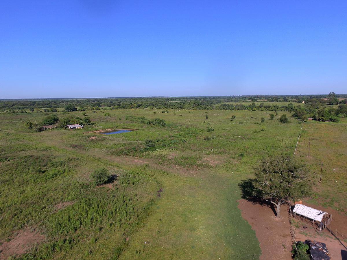 Venta de 31 Has. Agrícolas - Ganaderas en Pirane - Formosa