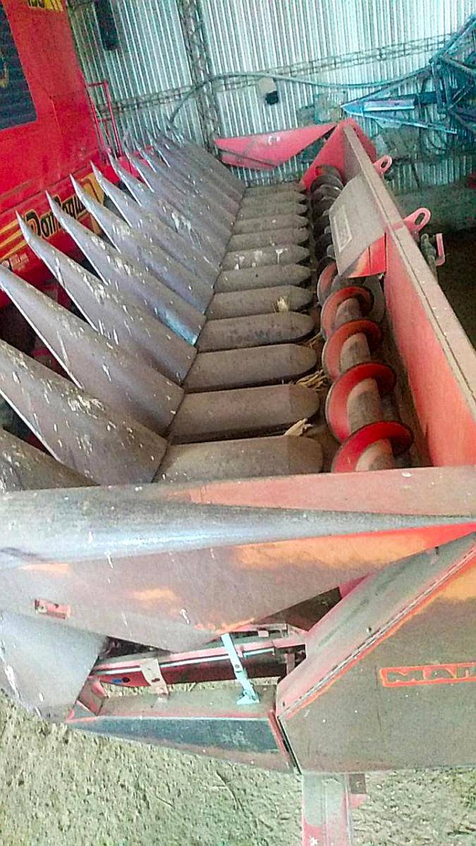 Maicero Mainero 13 a 52. año 2005