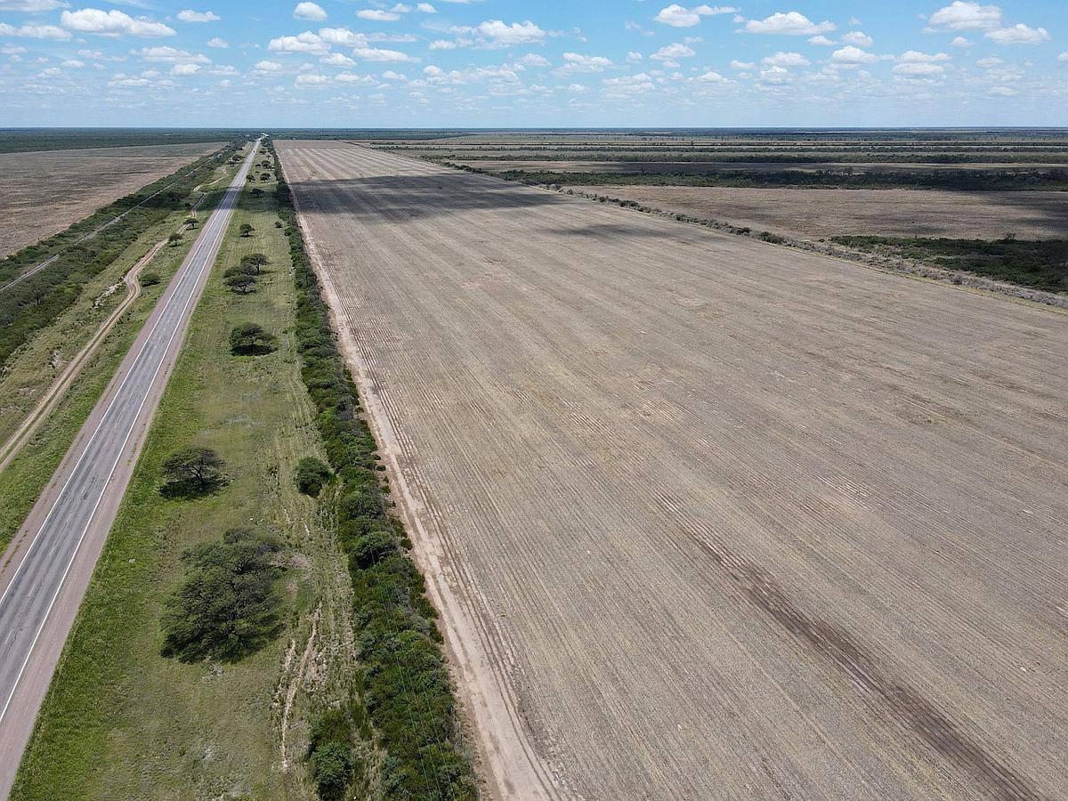 2150 Has Agrícolas Sobre RN N°34 Santiago del Estero