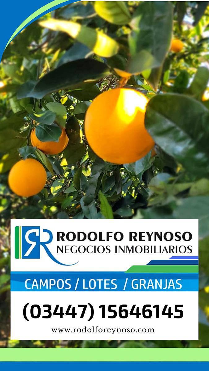 01. Buscamos Campos, Llamanos Ahora