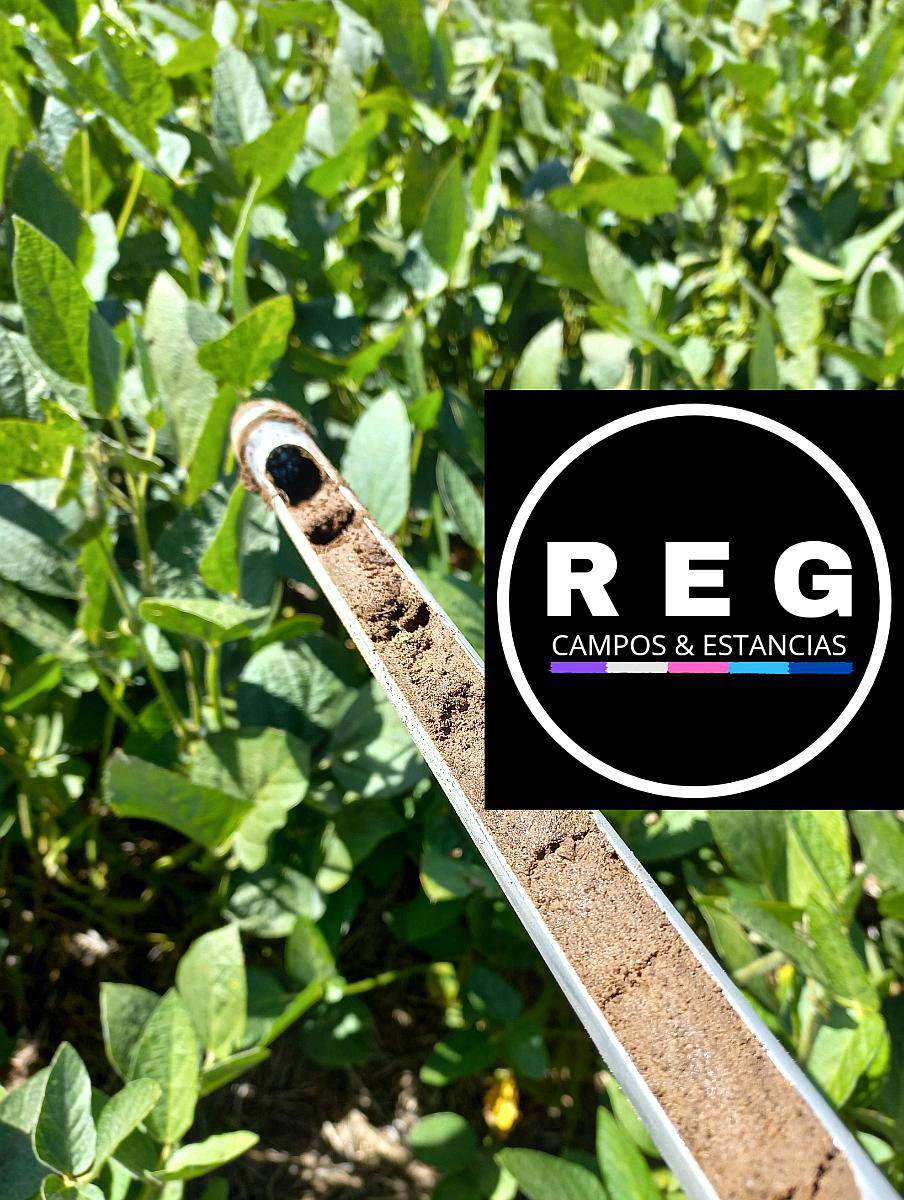 400 Hectareas en B. Larroude, la Pampa