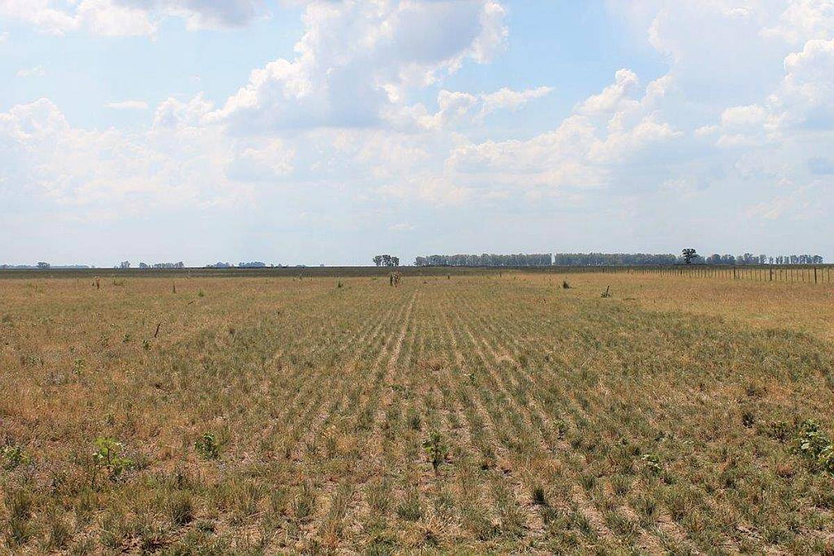 Ba3204 Venta 1800 Has. Mixto las Flores Buenos Aires