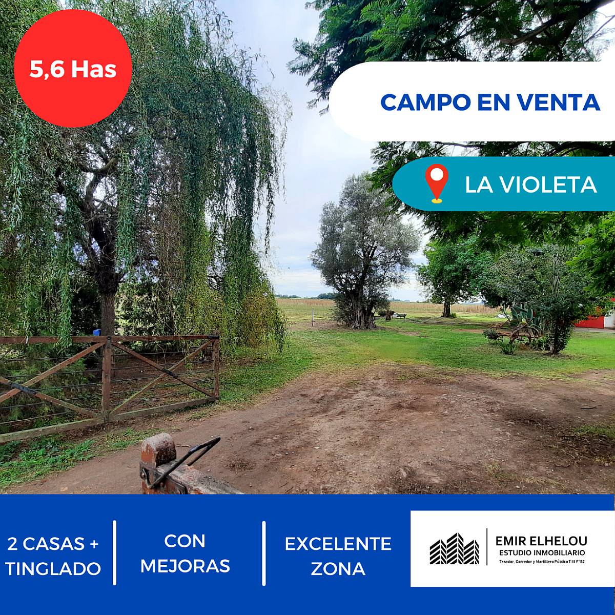 Hermoso Campo de 5,6ha en la Violeta (partido de Pergamino)