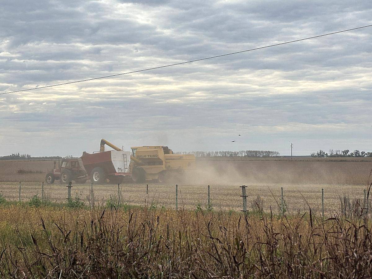 Busco Campo para Alquilar