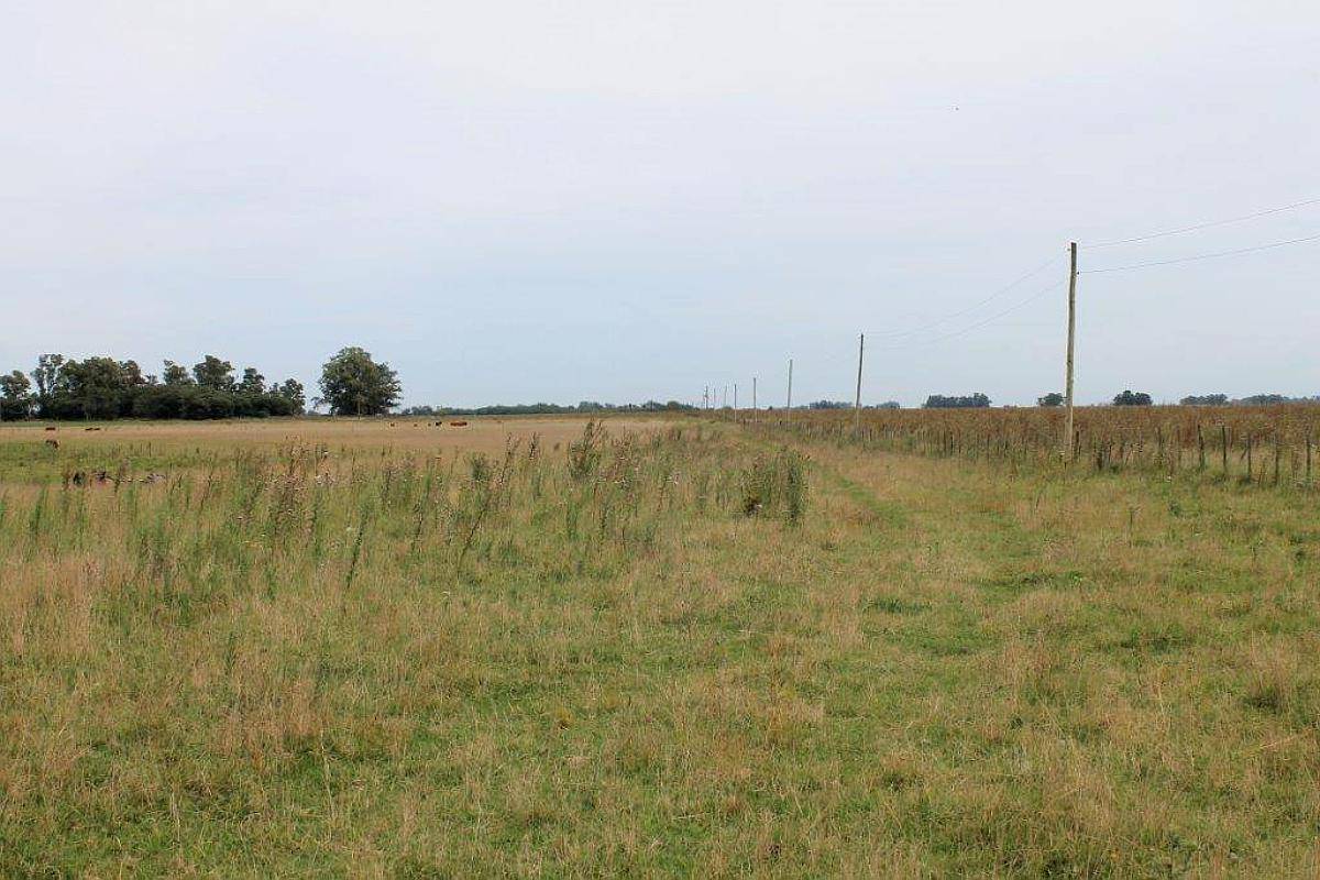 Ba3400 Venta Campo Mixto 640 Has. Monte Buenos Aires