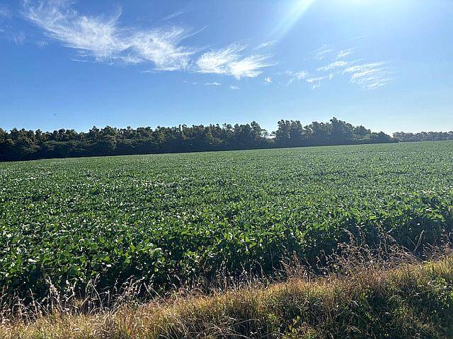 Busqueda de Campo en Venta San Pedro Ramallo 150 Has