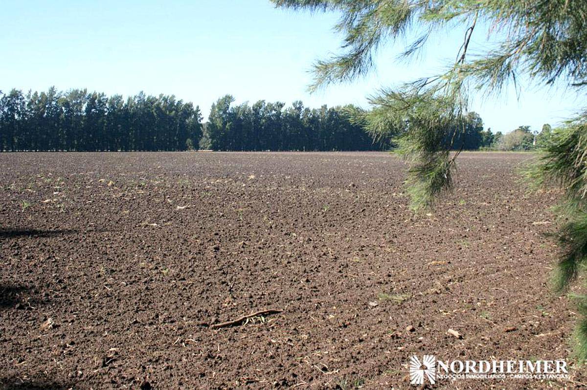 Zarate , G.b.a. Zona Norte, Argentina