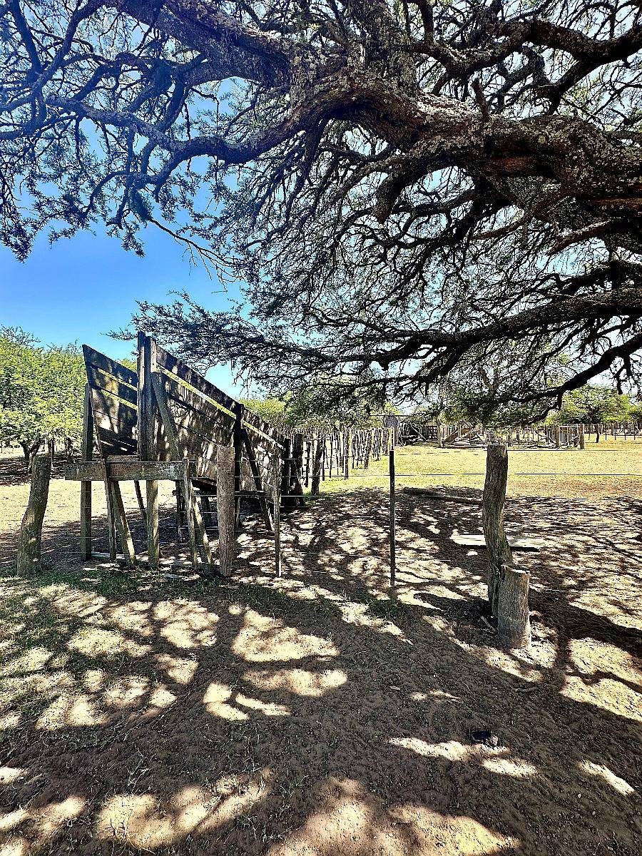 3500 Has Ganaderas Toay