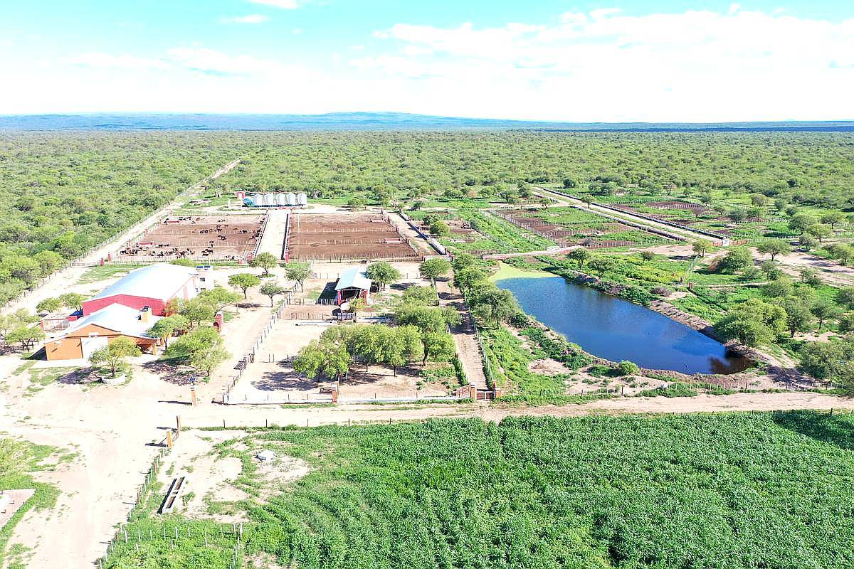 Campo Ganadero, Feedlot, 123 HA, Villa de Soto, Córdoba.