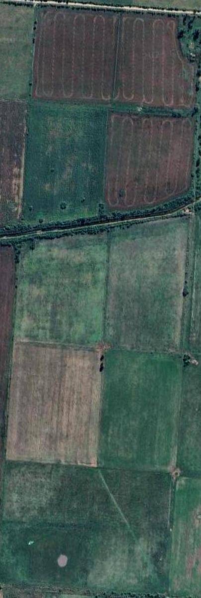 Se Venden 83 Has en Moisés Ville