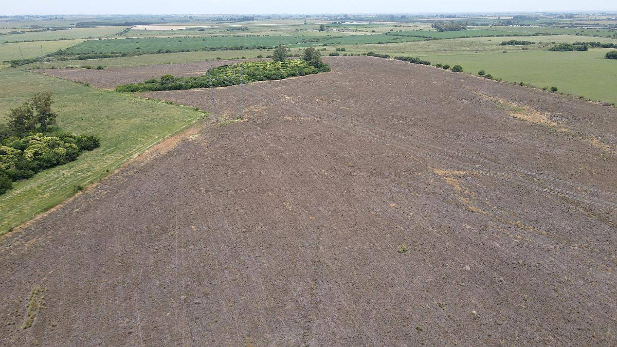 116 Hectáreas Agrícolas Sobre Ruta, Caseros Entre Ríos.
