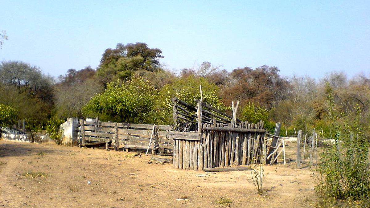Campo Ganadero en Rivadavia Banda Norte
