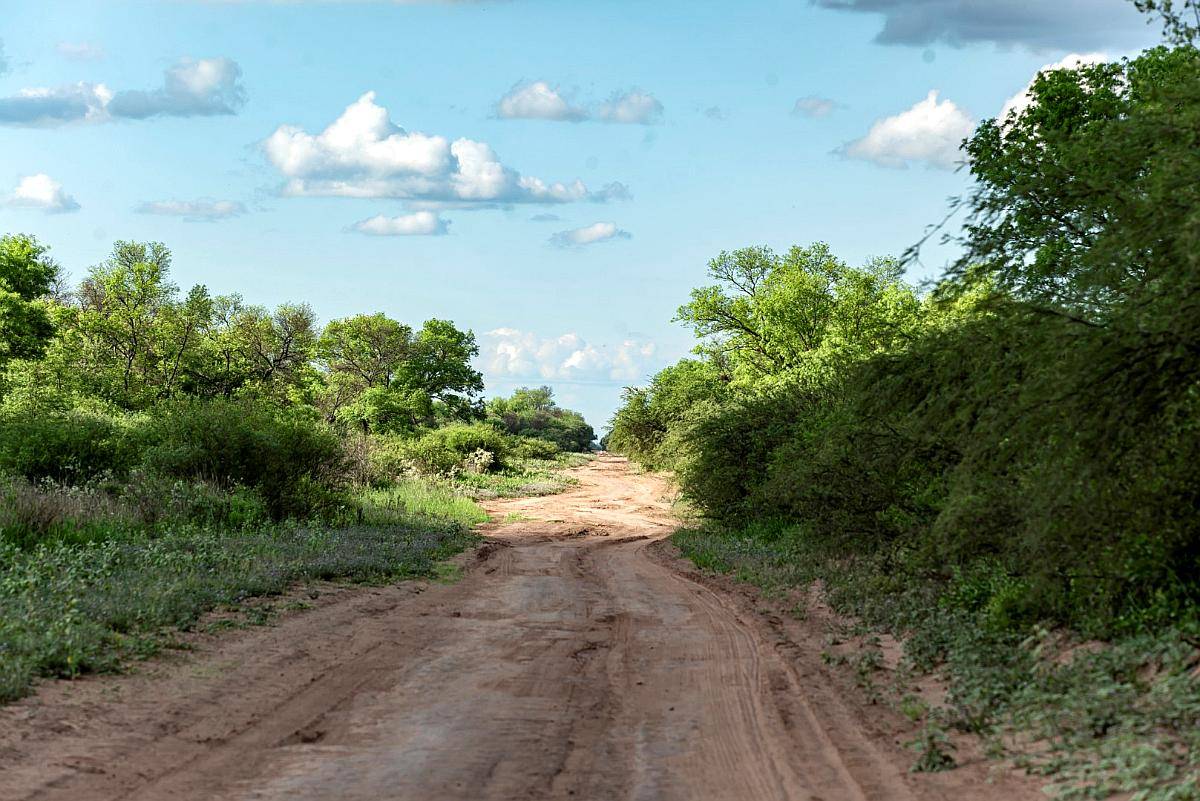 Excelente Campo en Dpto. Copo, SGO del Estero.-