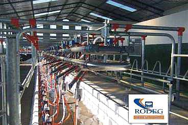 Representante Rodeg ,ordeñadoras Nuevas y Usadas.