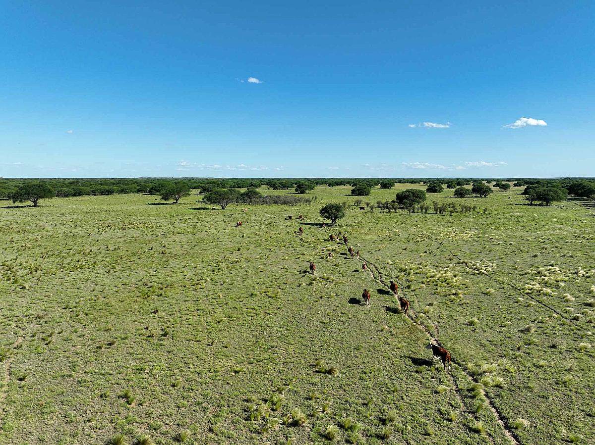 Pcia. de San Luis - Arizona 2307 Has