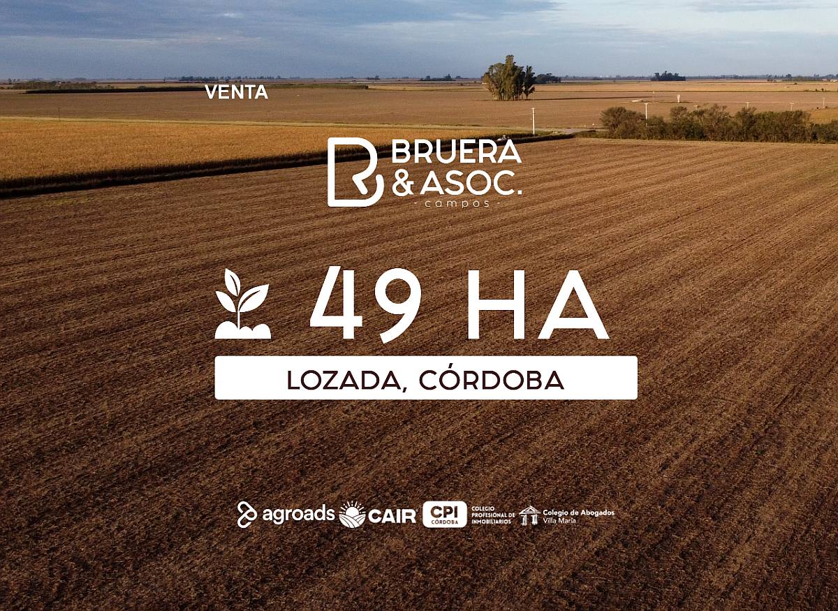 Campo 49 Hectáreas - Lozada