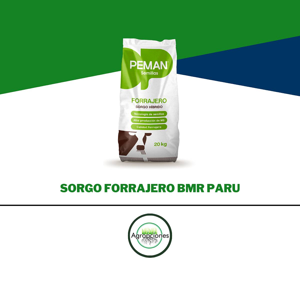 Semilla de Sorgo Forrajero BMR Paru