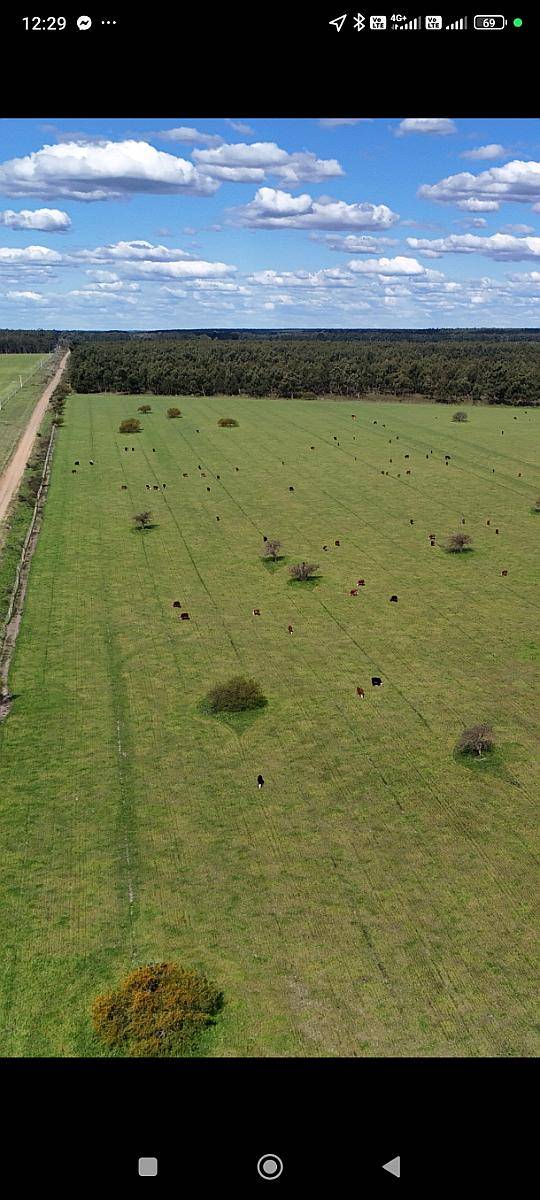 Vendo Campo 390 Hectáreas Entre Chajarí y Federacion
