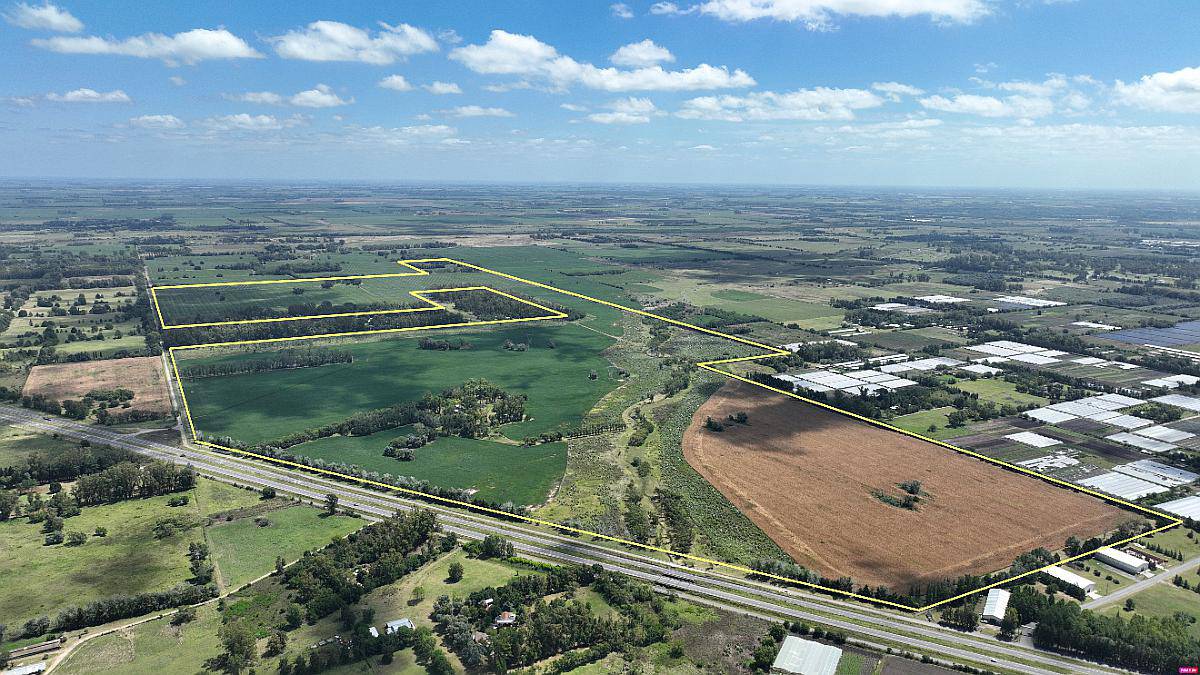 235 Has. Campo con Casco Sobre Ruta 8 en Parada Robles