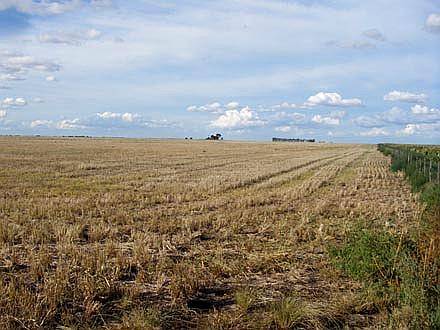 450 Ha en Gral Alvear S/ Ruta, Casa, Mejoras