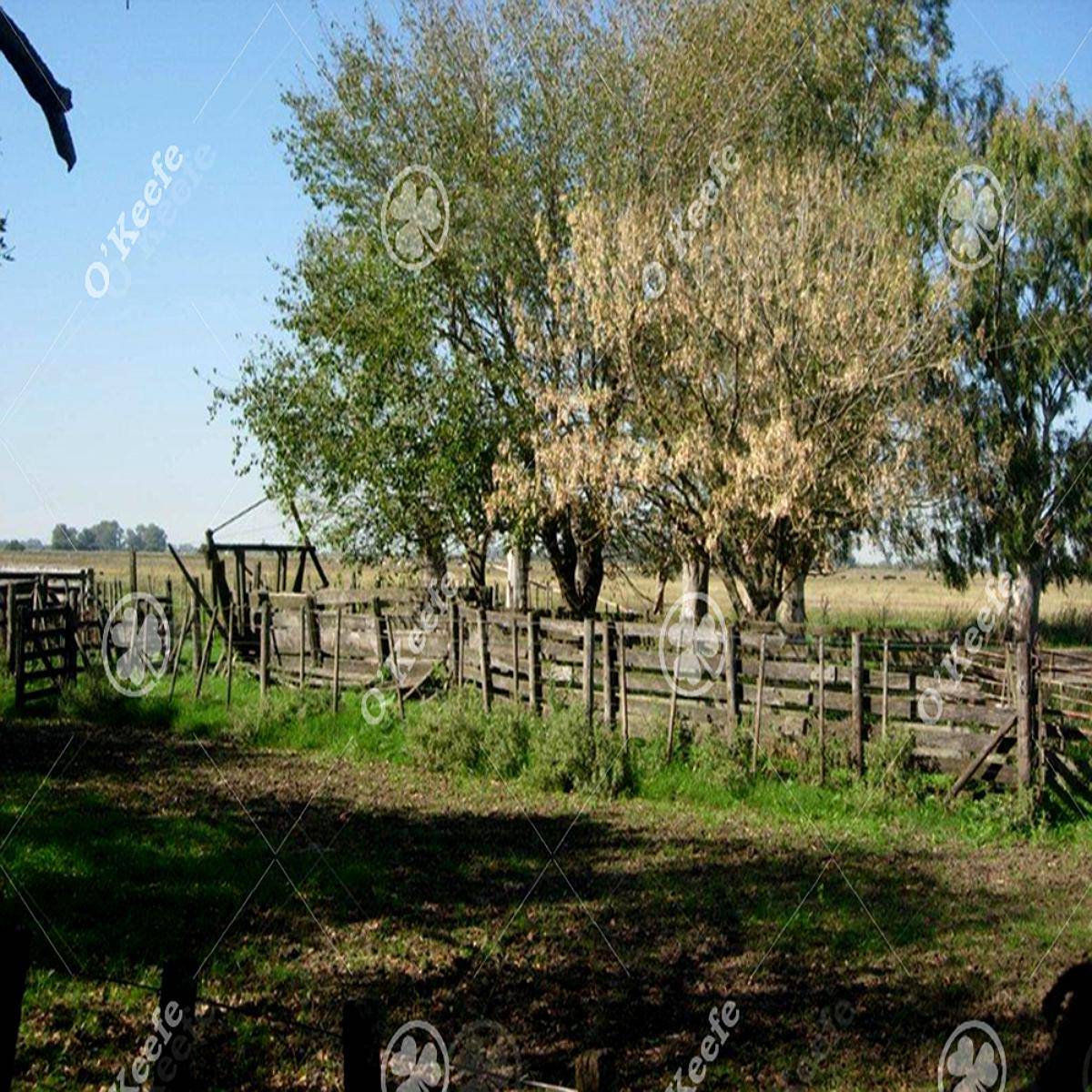 Campo en Venta de 84 Hectareas, la Plata, Ganadero.