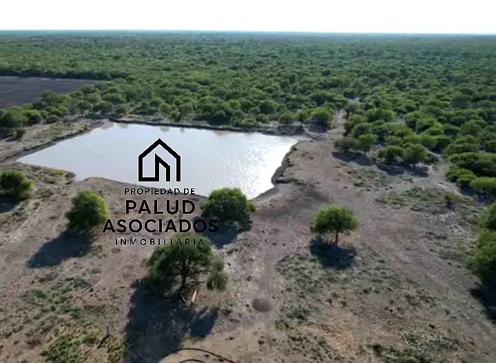 Vendo Campo 23 Has Vera Santa FE Sobre Ruta 3 (toba)