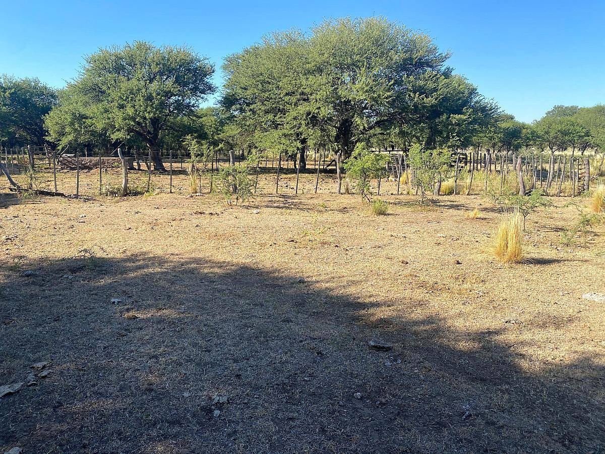 Juan Jorba Alquiler 176 Has