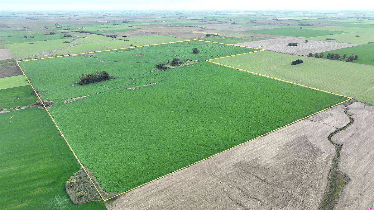 210 Has. Campo Agrícola en Arrecifes
