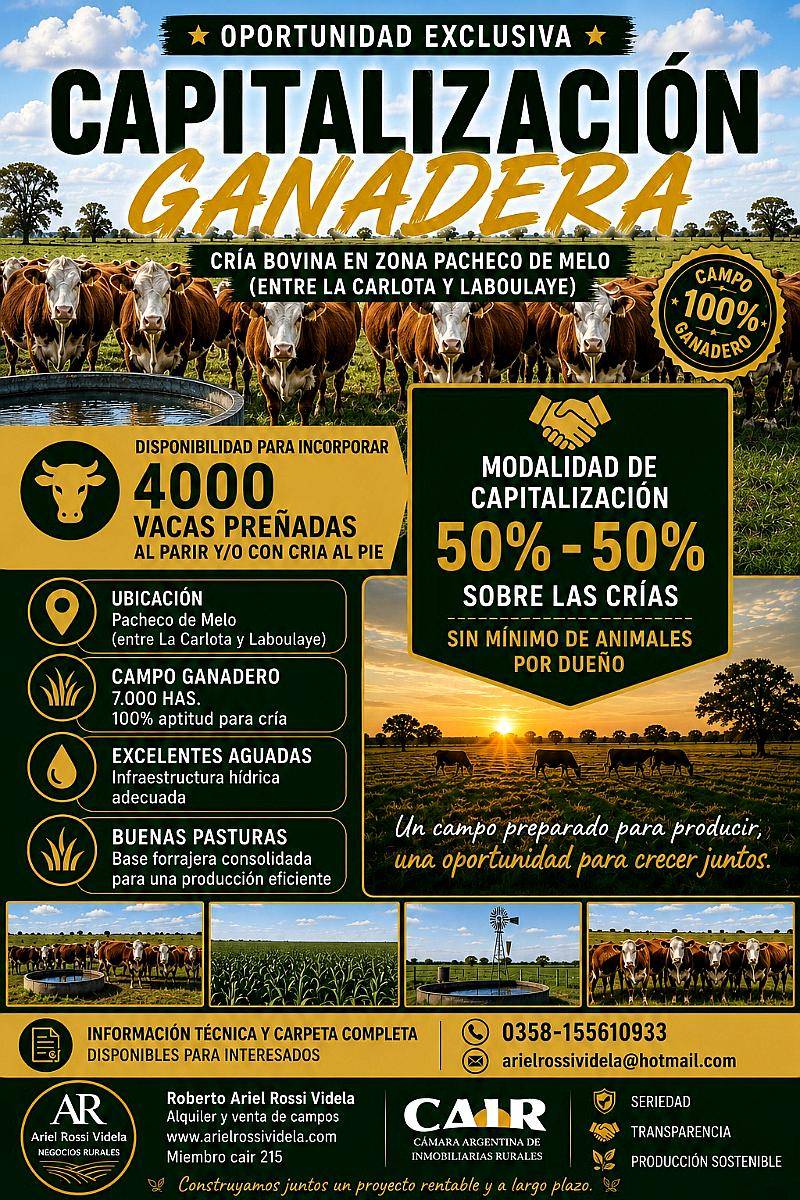Capitalización 4000 Vacas Campo Disponible