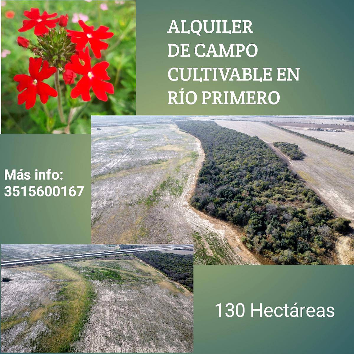 Hectáreas Cultivables en Río Primero