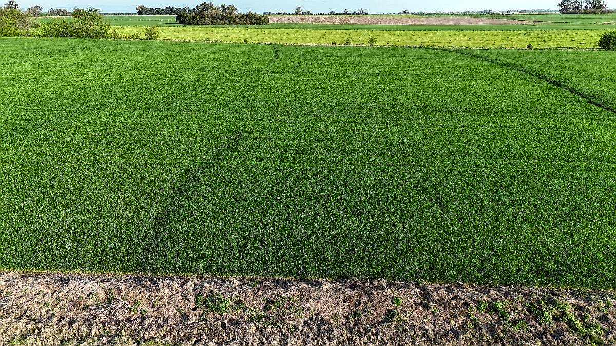 340 Ha Agricolas Capitan Sarmiento