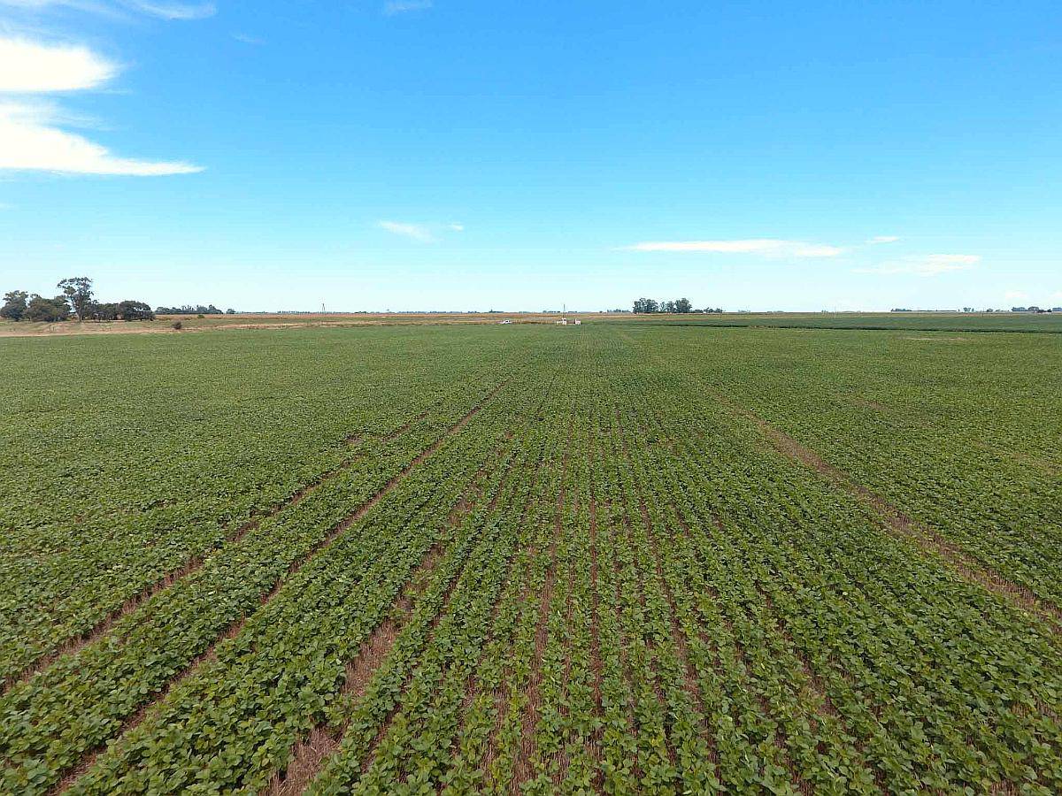 Pcia. de Cordoba - San Marcos SUD 770 Has