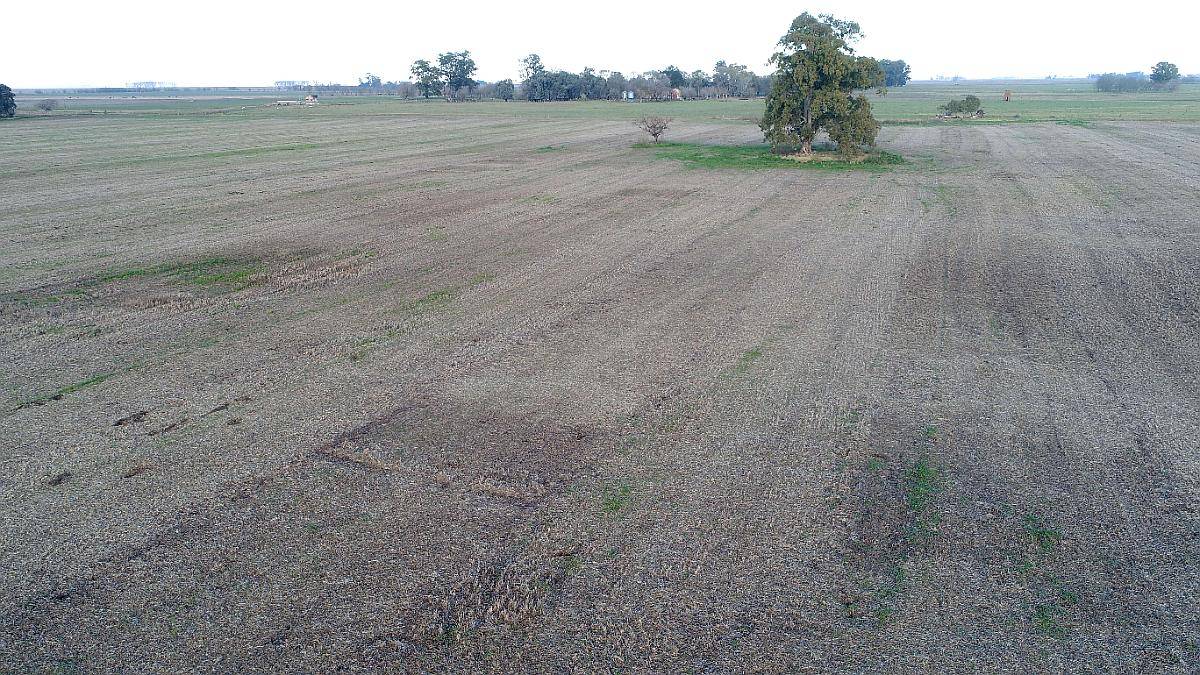 Campo en Venta en 25 de Mayo