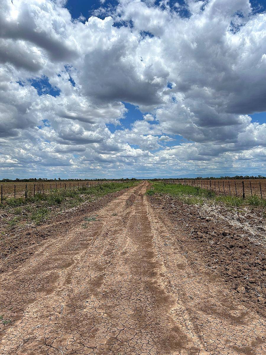 Las Lajitas, Salta - 1330 Has