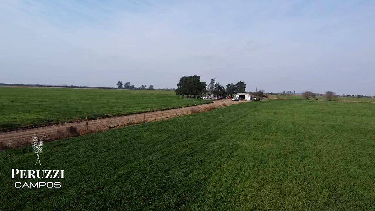 150 Ha Agricolas en Hersilia Sobre RP 38. IP 52%