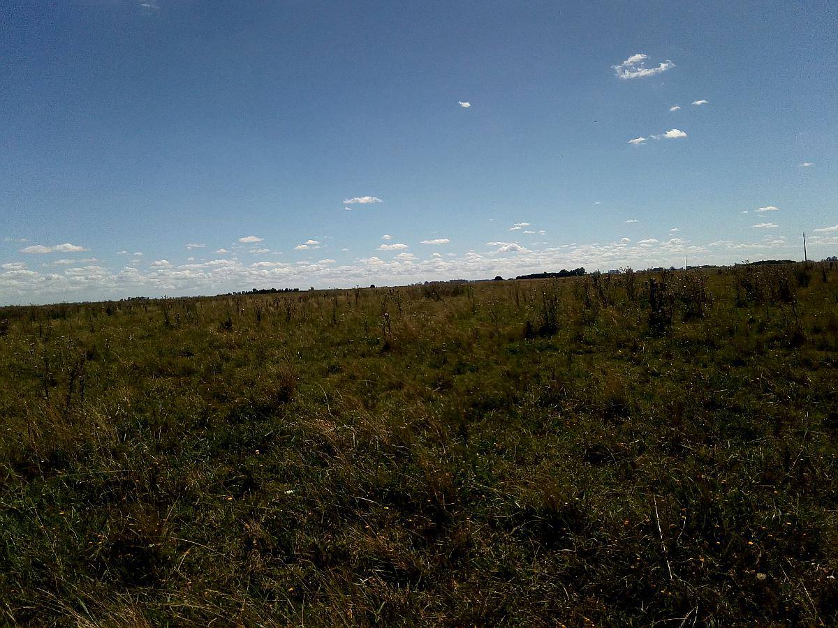 85 Hectáreas Partido de 85 hectáreas. Agroads