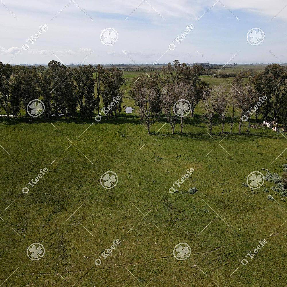 Campo en Venta de 200 Has en Chascomus