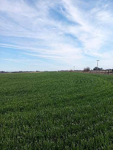 Campo de 210 Has en Venta Riego y Mejoras