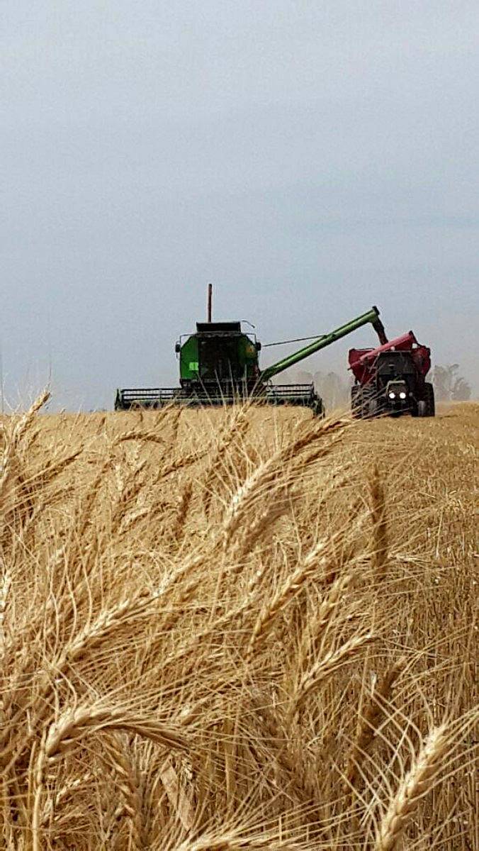 Reductores Completos para Deutz Optima