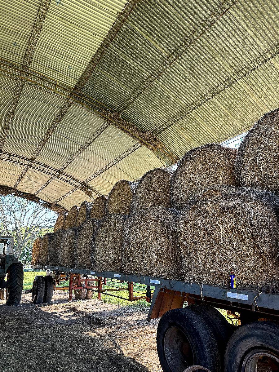 Rollos de Paja de Trigo