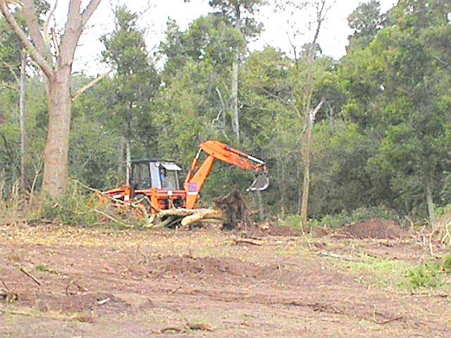 Desmonte y Limpieza Pesada en Campos