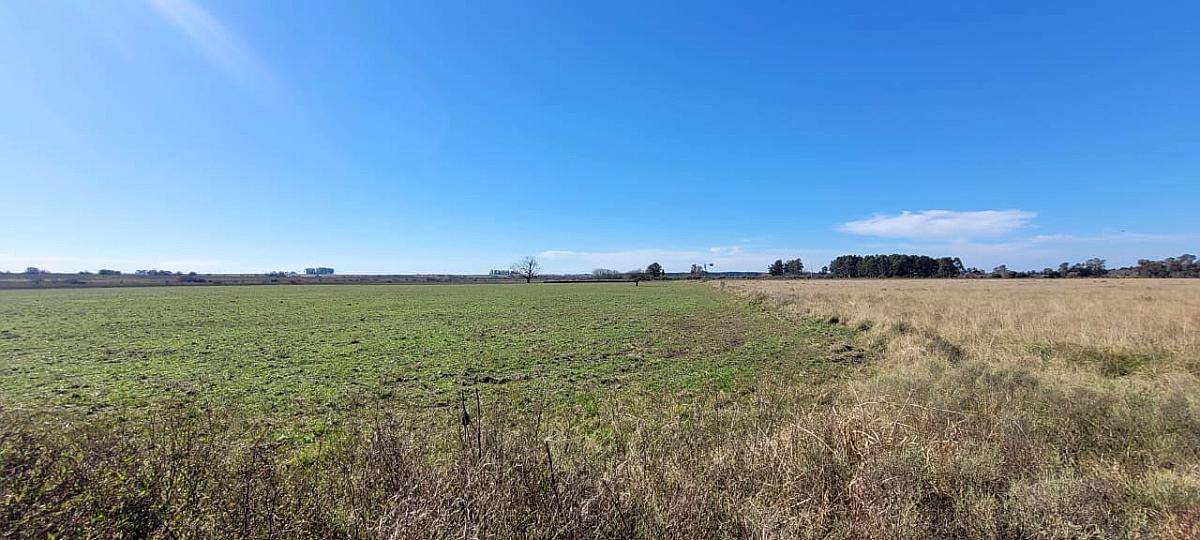2 Campos de 24 Hectáreas C/U