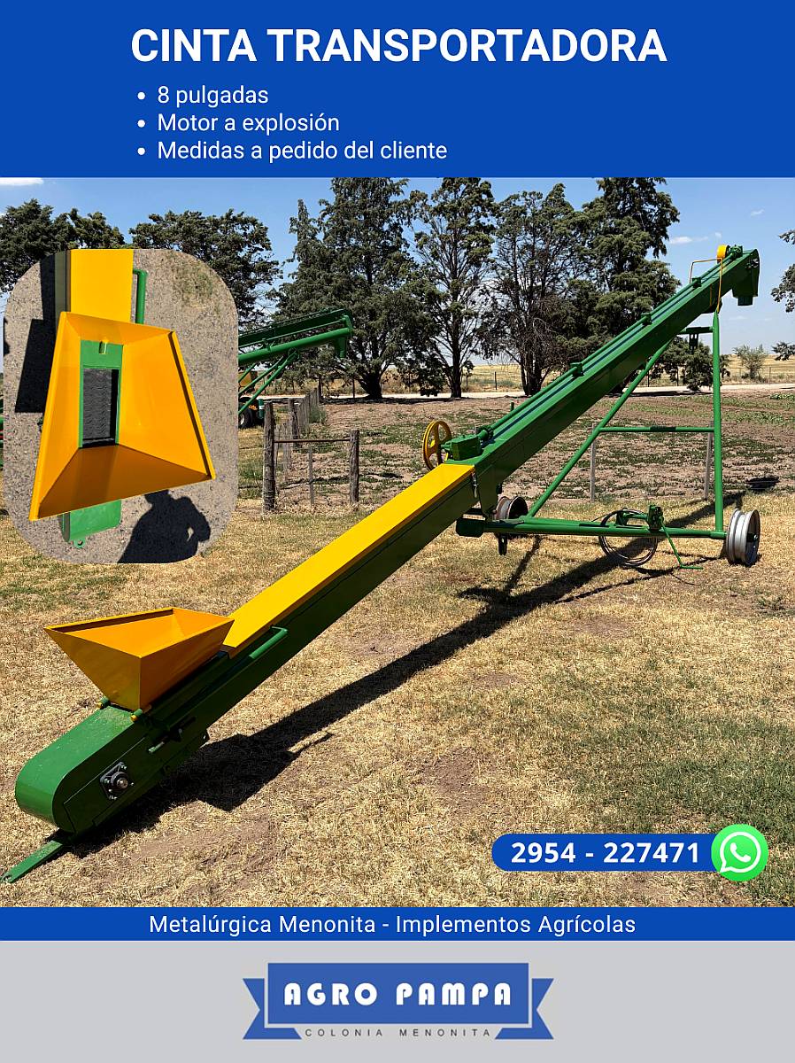 Cinta Transportadora de Cereal