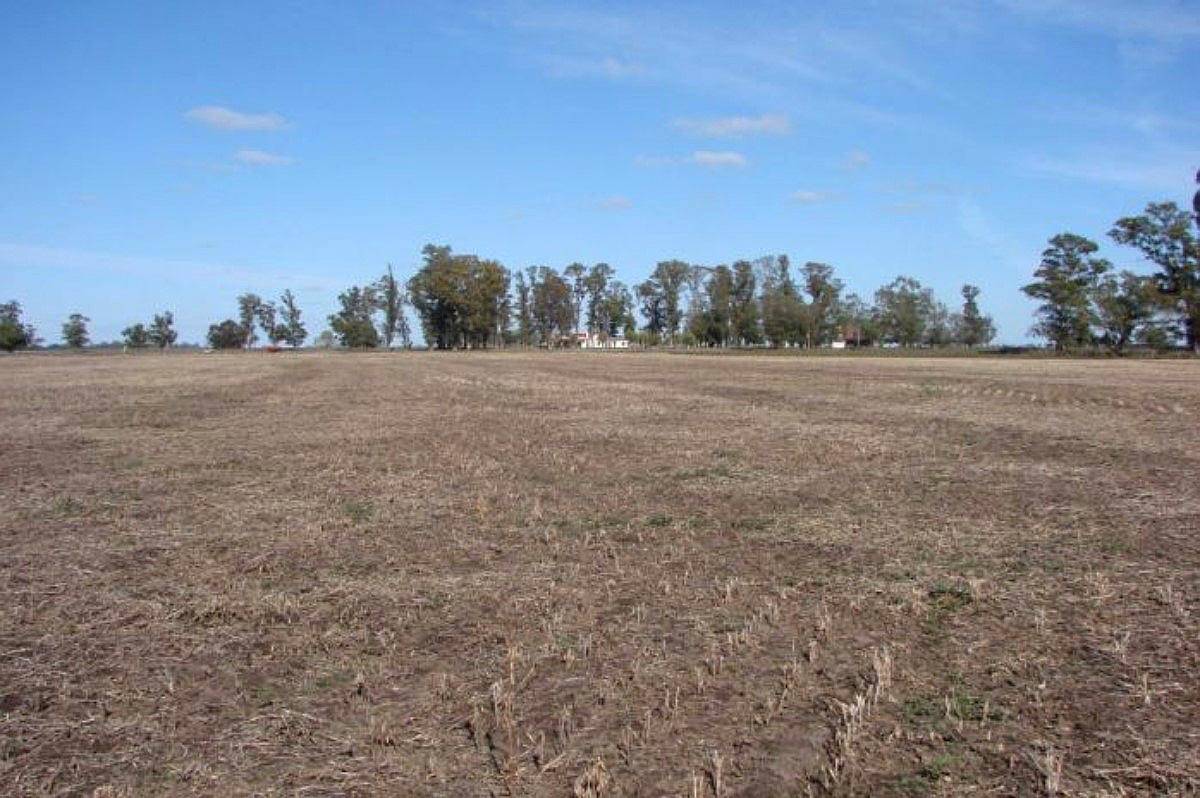 Ba2942 Venta Mixto 640 Has Veinticinco de Mayo, BS AS.